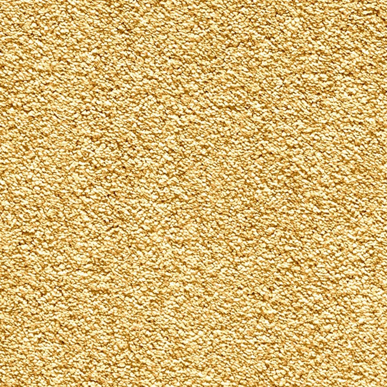 Carpets Online Quality Carpet & Flooring Tapi